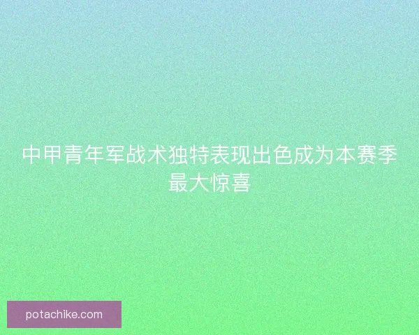 中甲青年军战术独特表现出色成为本赛季最大惊喜