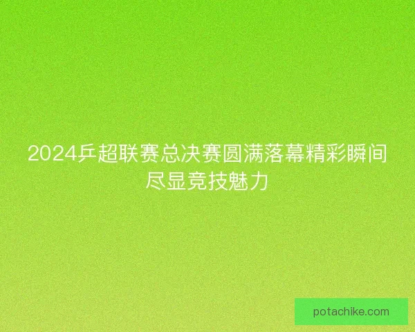 2024乒超联赛总决赛圆满落幕精彩瞬间尽显竞技魅力